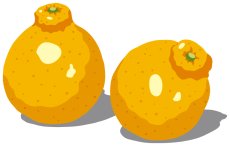 画像11:  和風な   ライト  (11)