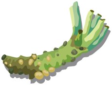 画像12:  和風な   ライト  (12)