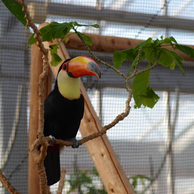 ULたぐニュース