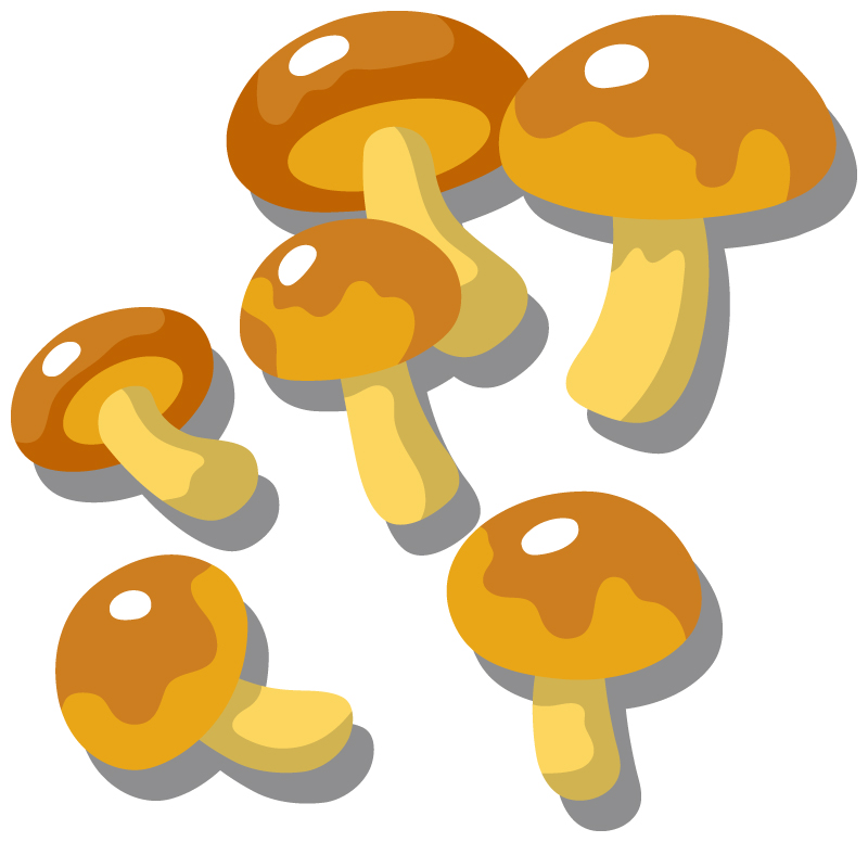 商品リンクてすと